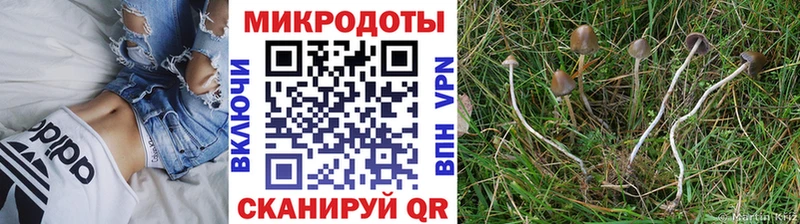 Галлюциногенные грибы ЛСД  Донской 